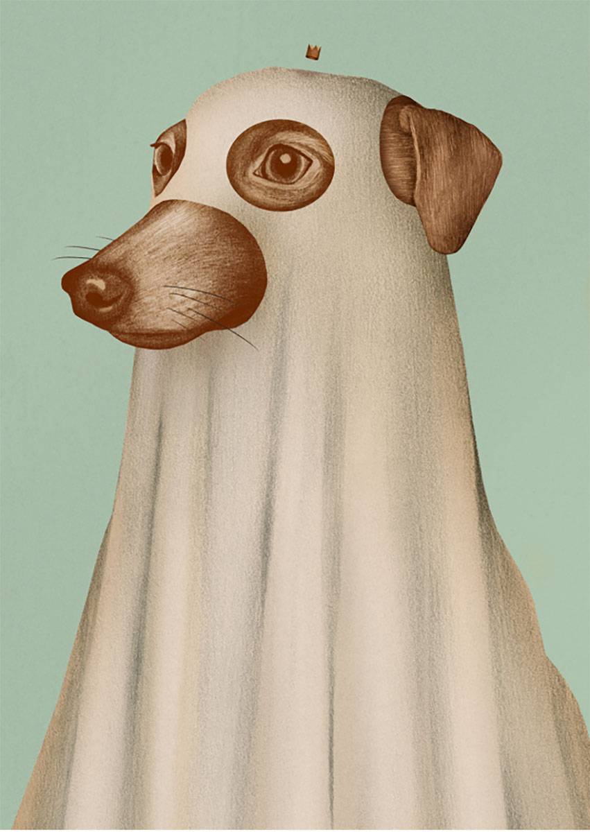 Dorota Piechocińska Ilustradora, Chart ducha