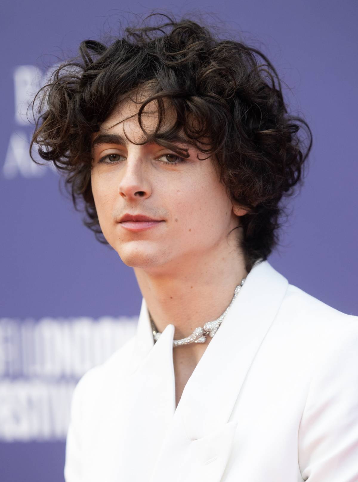 Timothée Chalamet (Fot. Getty Images)