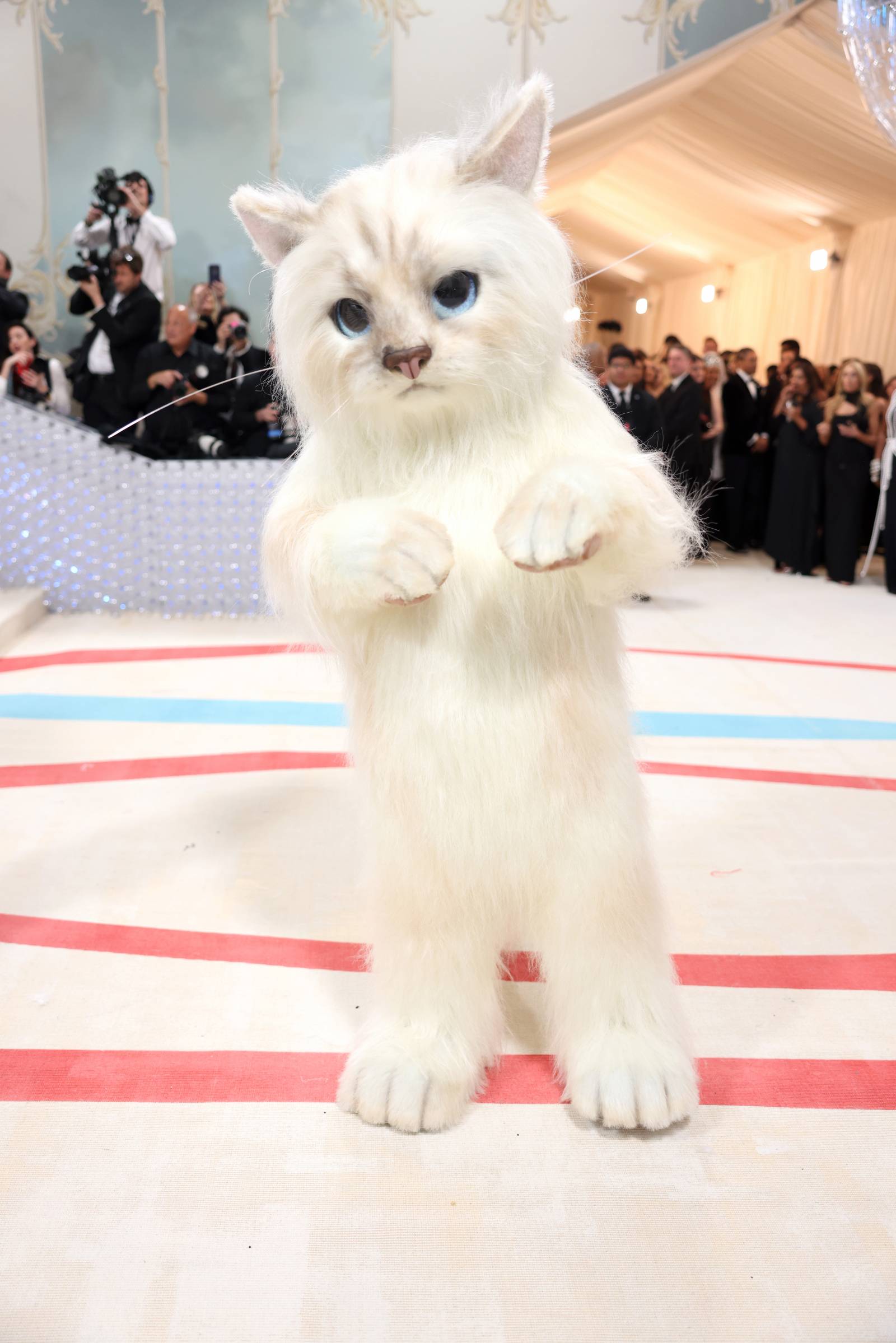 Jared Leto / Fot. Getty Images