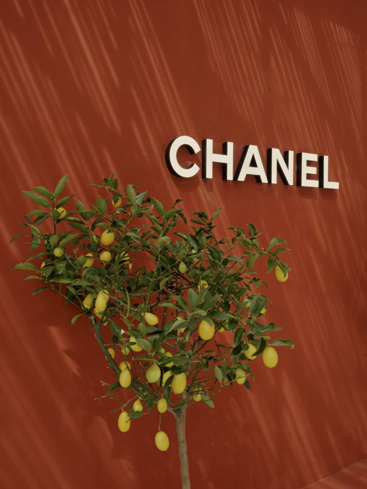 Marka Chanel otworzyła sezonowy butik na Capri. Sezonowy butik Chanel na włoskiej wyspie Capri utrzymano w minimalistycznym stylu przełamanym bujną roślinnością.