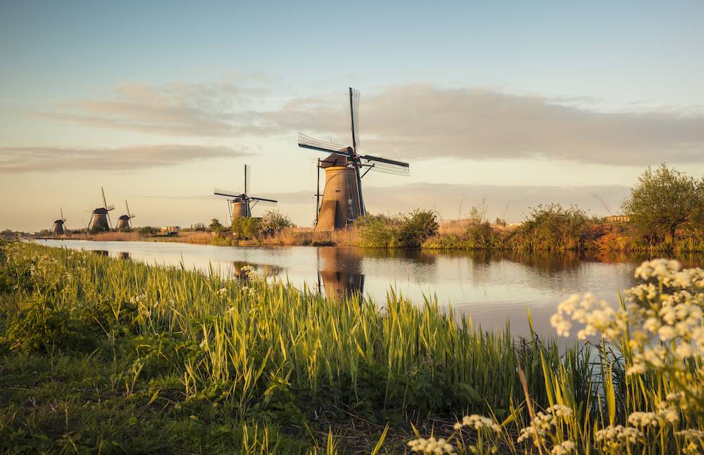 Holandia (Fot. Getty Images)
