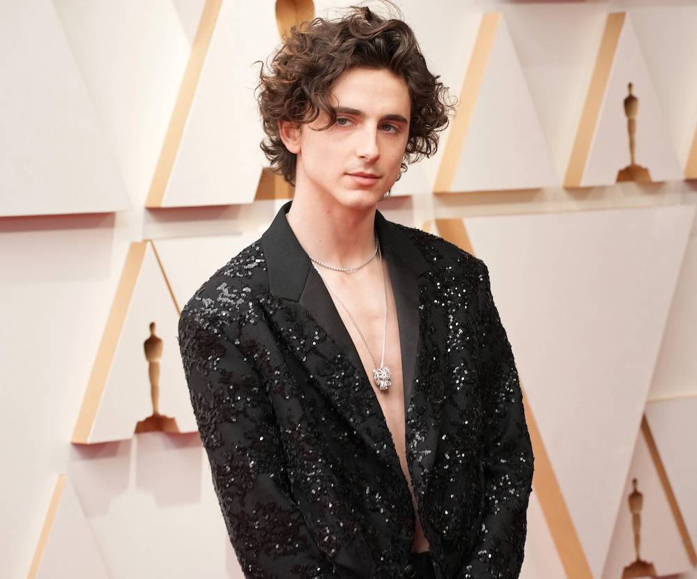 Timothée Chalamet (Fot. Getty Images)