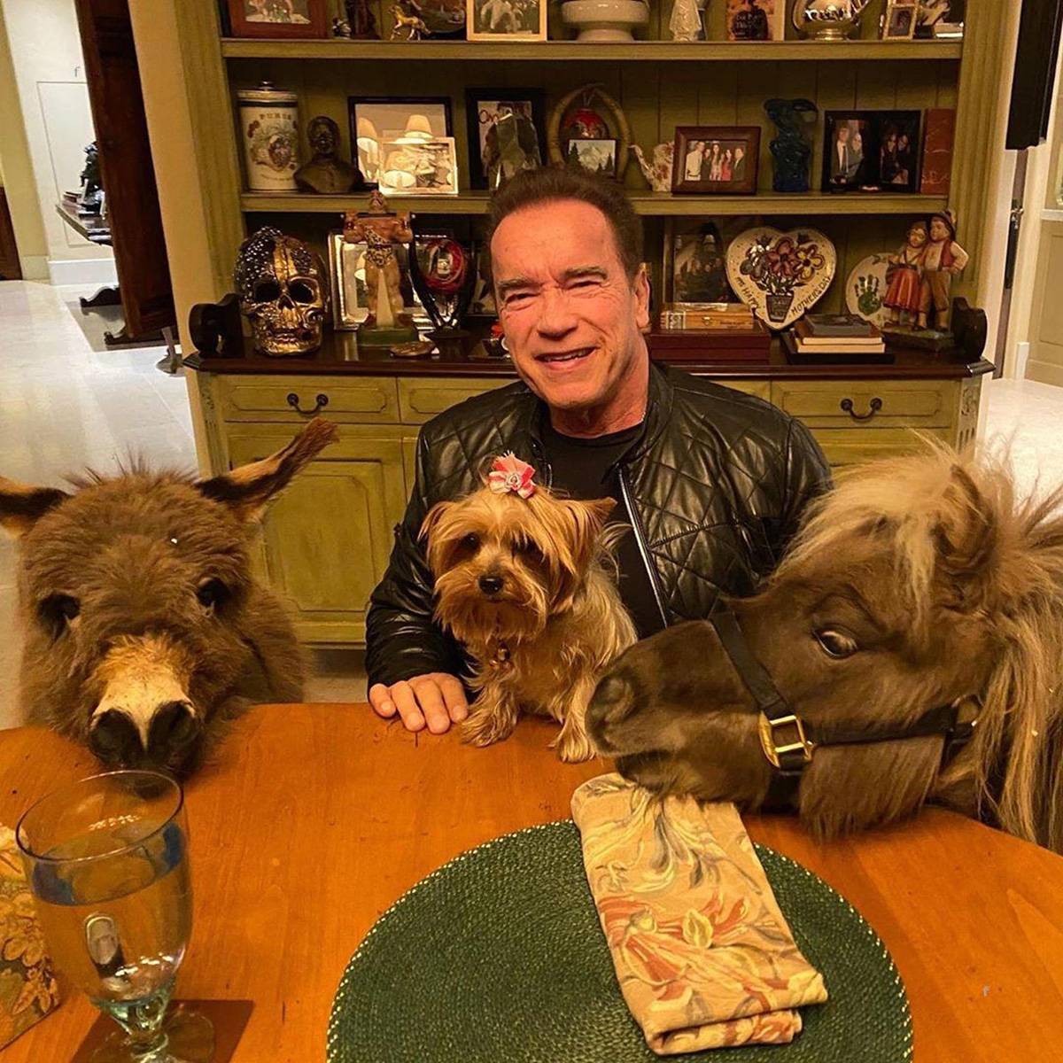 Arnold Schwarzenegger ze zwierzętami