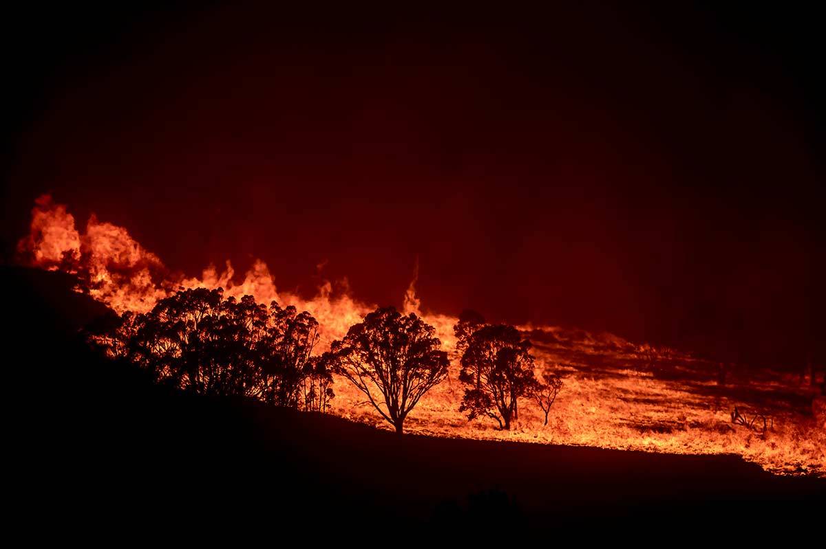 (Fot. Getty Images)