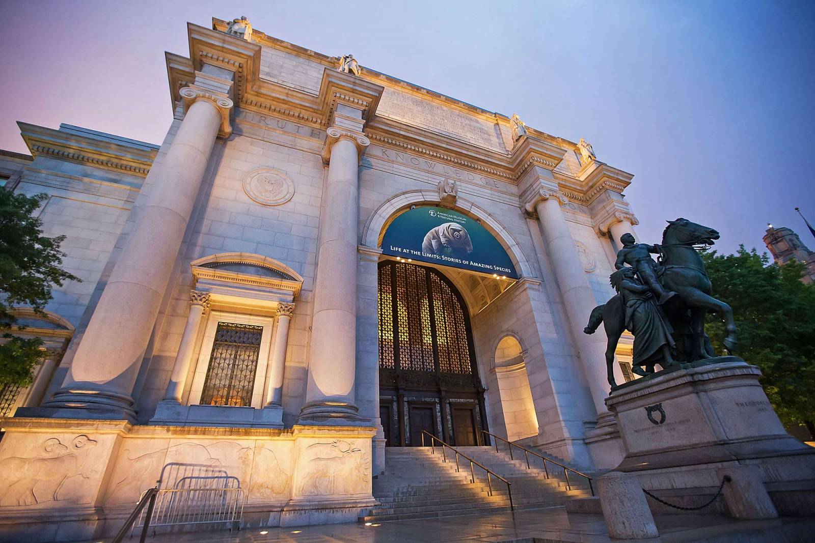 Amerykańskie Muzeum Historii Naturalnej (Fot. Getty Images)