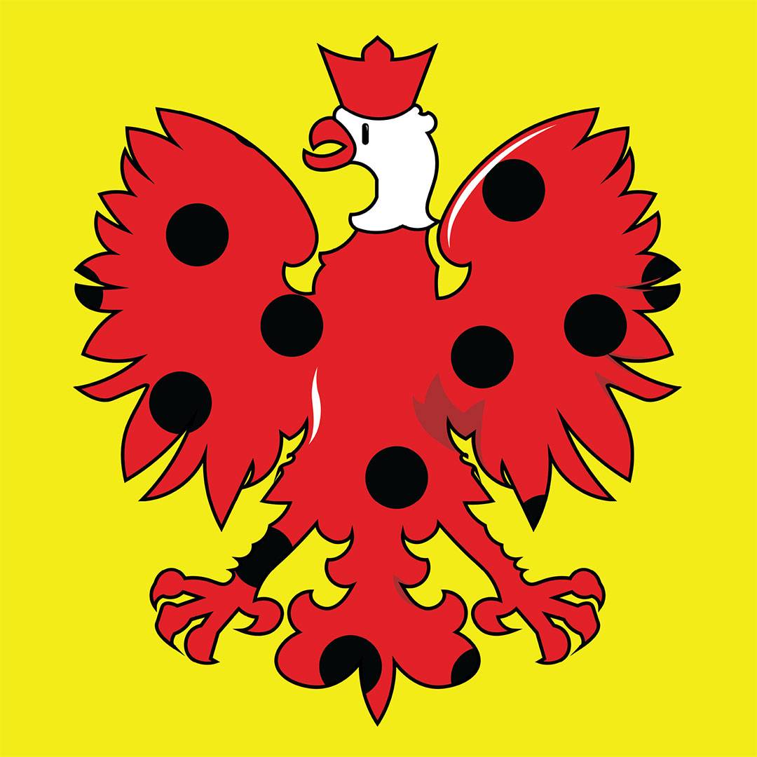 Projekt Anna Jeglorz