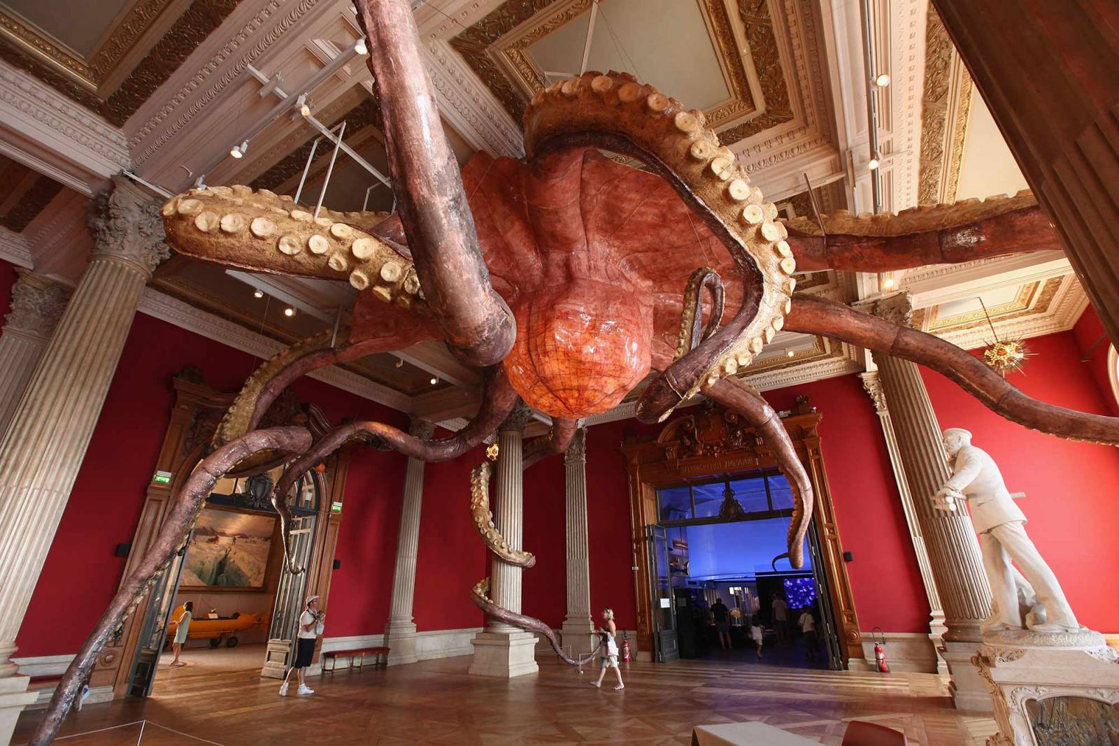 Gigantyczna ośmiornica w Muzeum Oceanograficznym w Monako (Fot. Gallup/Getty Images)