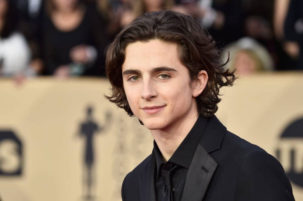 Timothée Chalamet (Fot. Getty Images)