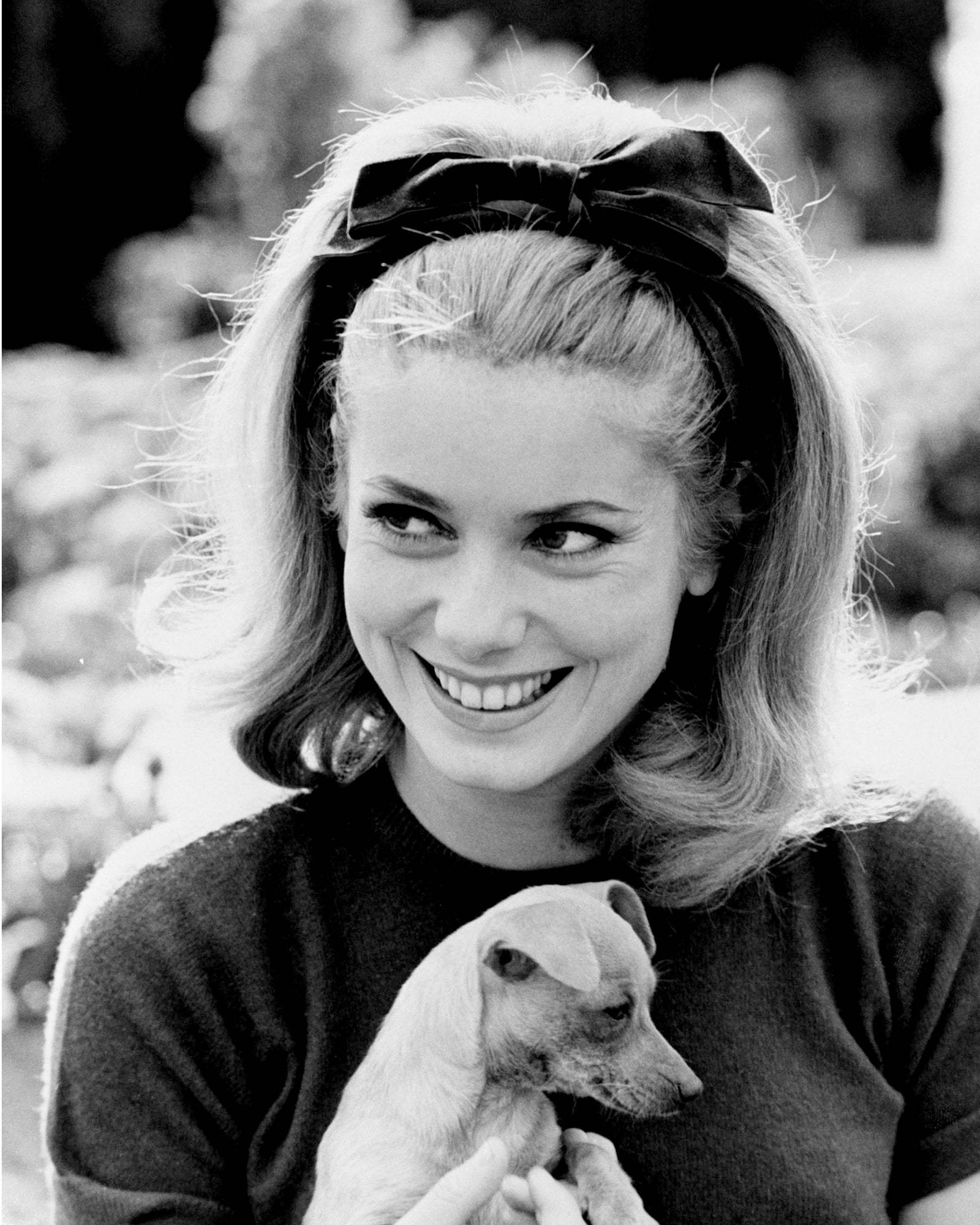 Catherine Deneuve, 1962 r., Fot. SILVER SCREEN COLLECTION