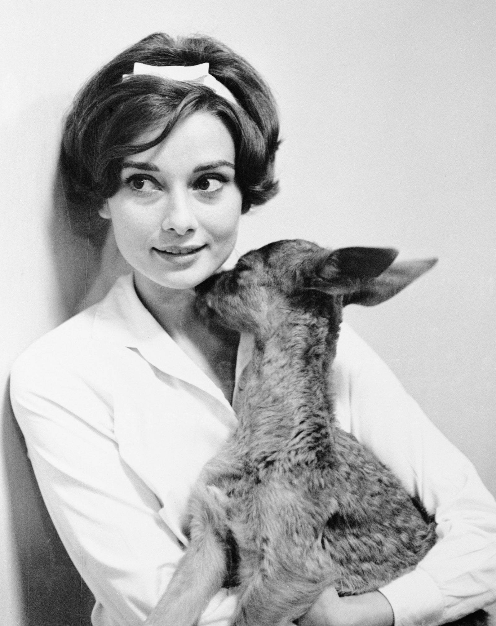 Audrey Hepburn 1958r., Fot. BETTMANN