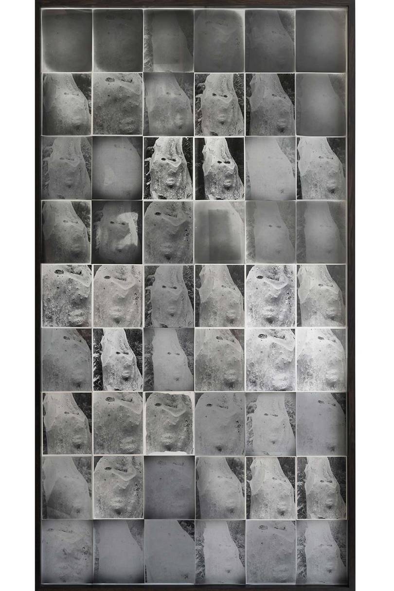 Nicolai Howalts Spider Mites #1 from his exhibition, An Ode to Pareidolia (collage of silver gelatin prints, 2018) Fot. NICOLAI HOWALT / MARTIN ASBAEK GALLERY