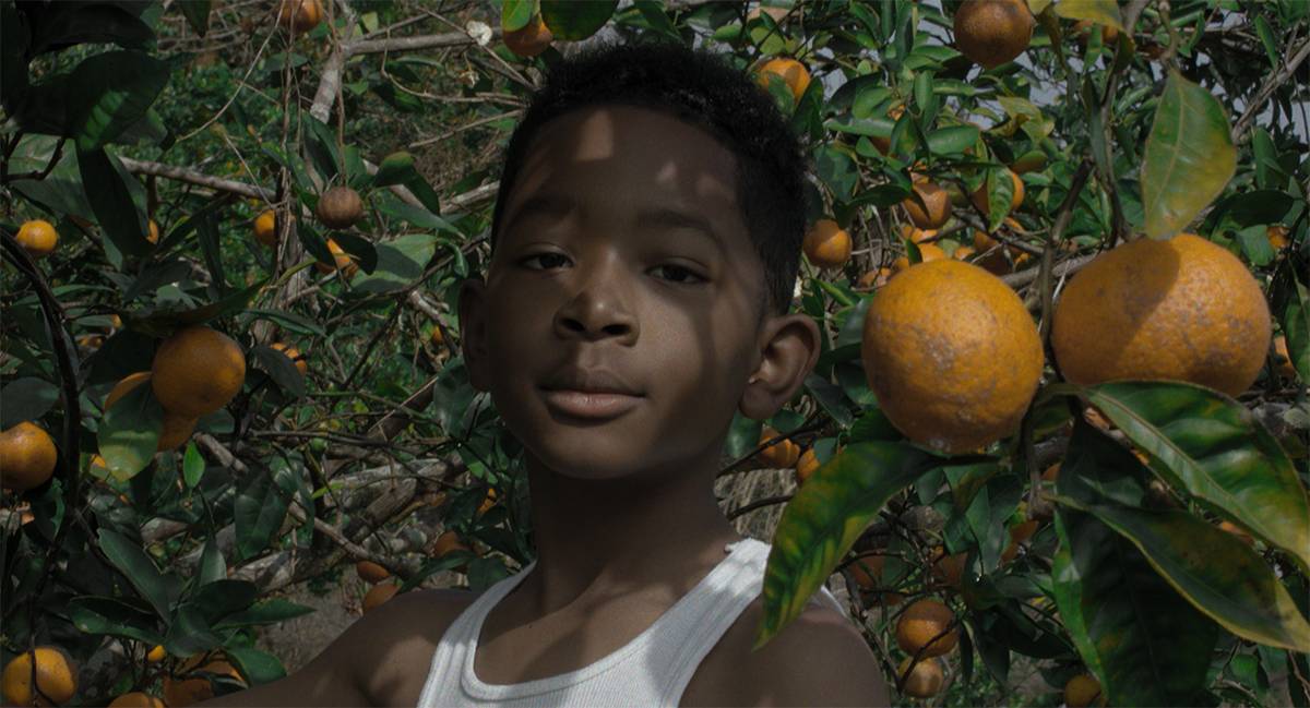 Kadr z filmu „Płonąca trzcina”