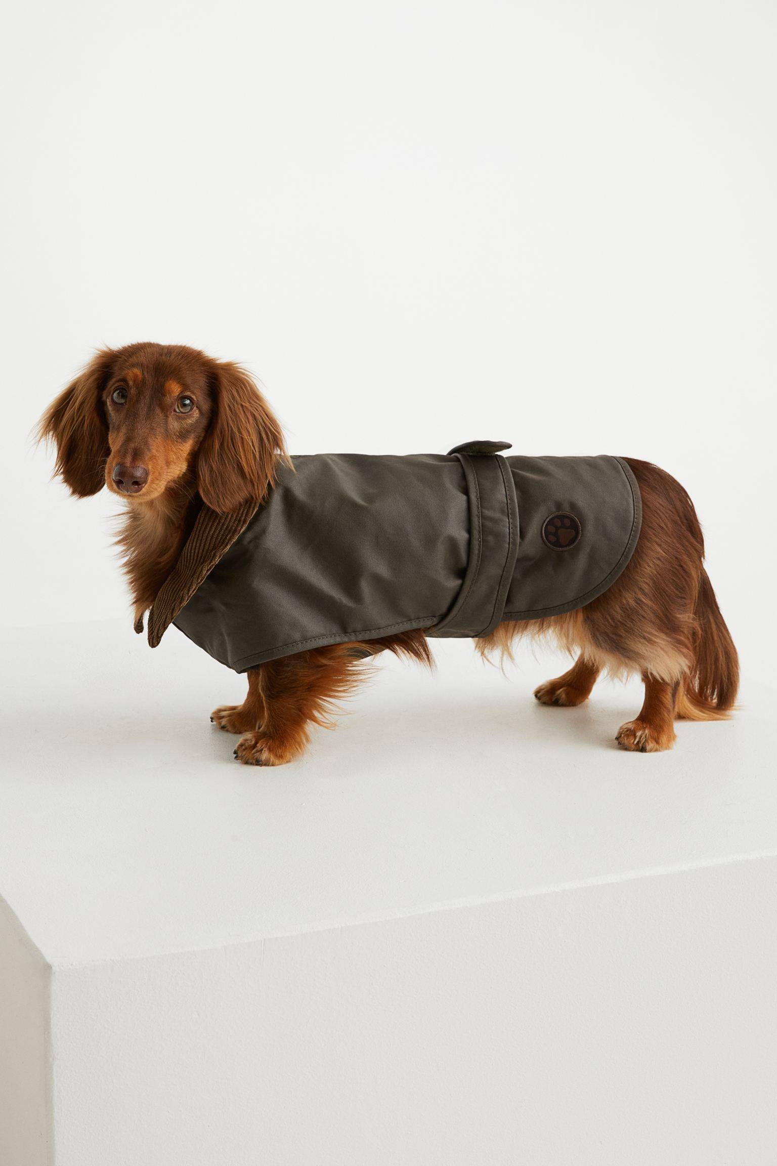 Przeciwdeszczowy płaszcz dla psa H&M (Fot. Materiały prasowe)