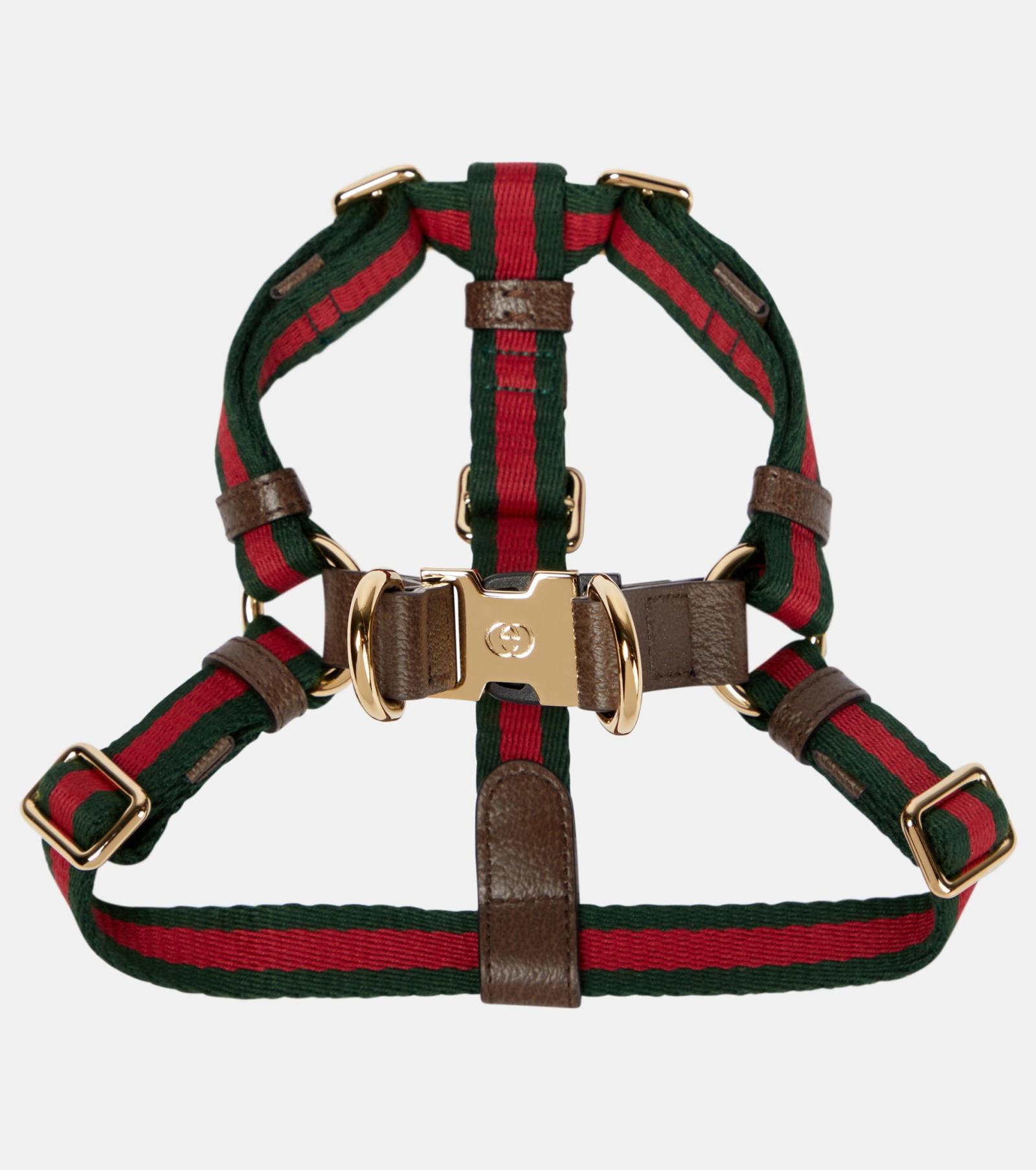 Szelki Gucci (Fot. Materiały prasowe)