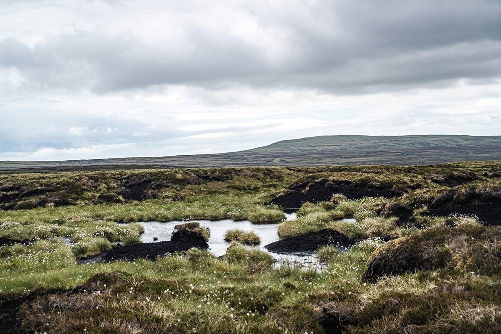 North Pennines (Fot. Karolina Wiercigroch)