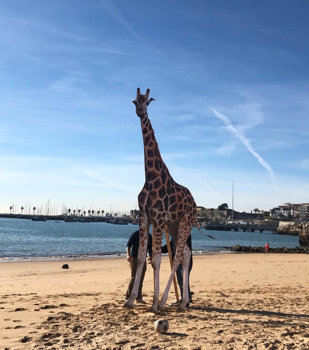 Papierowa żyrafa na plaży w Portugalii, Vogue, kwiecień 2019 (Fot. archiwum prywatne)