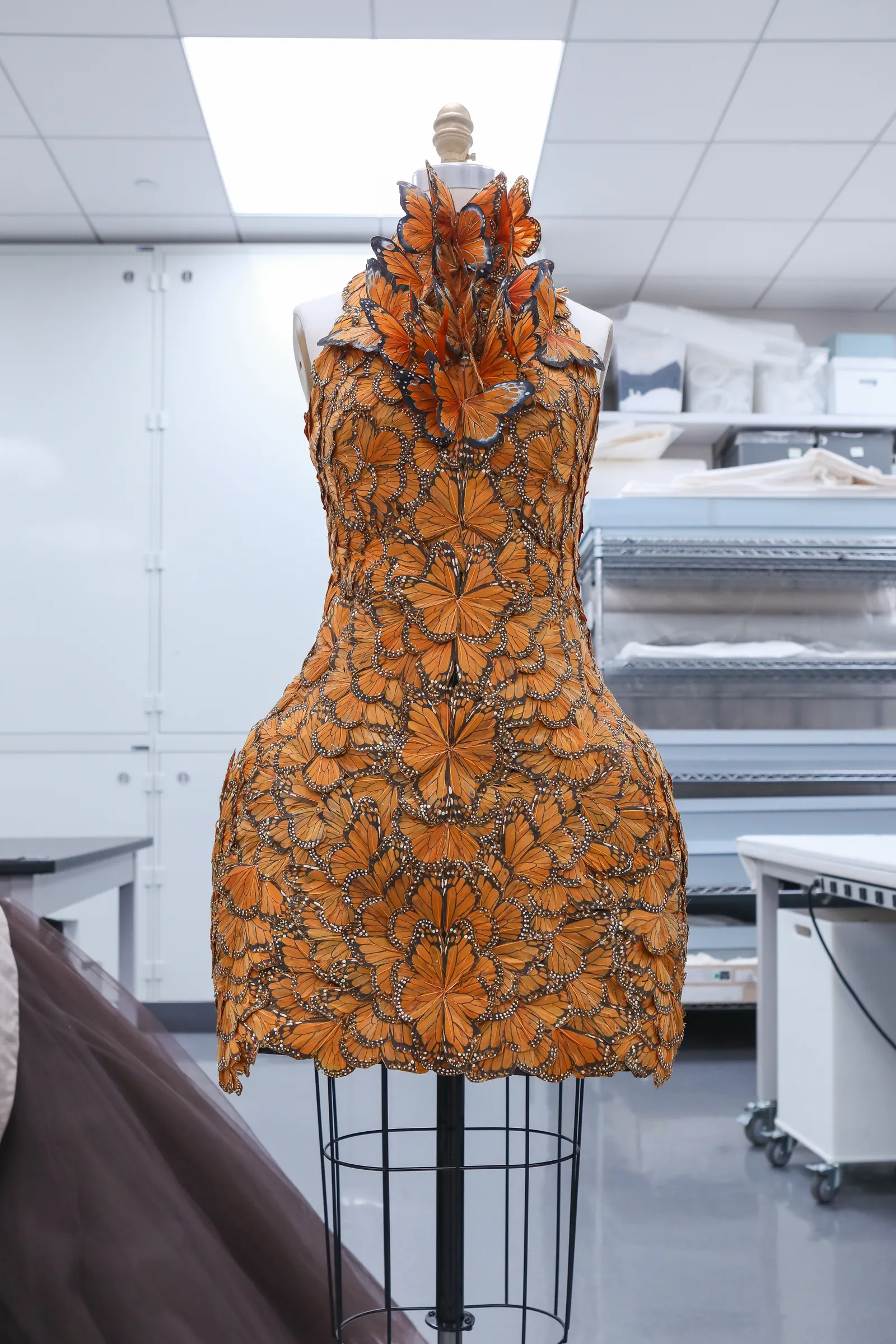 Sukienka, Alexander McQueen, wiosna 2011. (Fot. The Metropolitan Museum of Art)