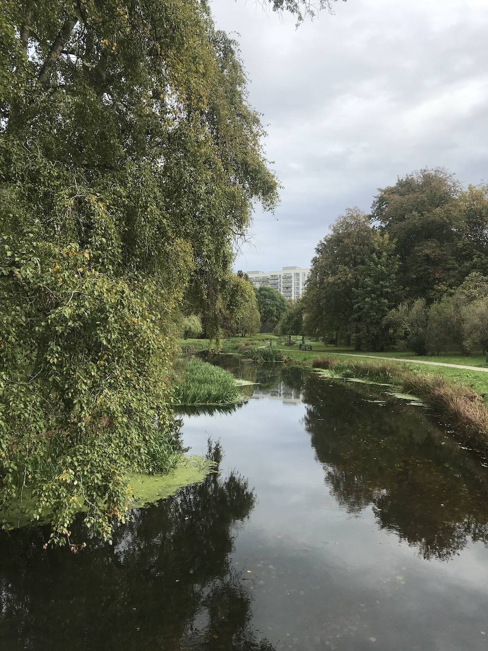 Park Skaryszewski (Fot. Julia Właszczuk)