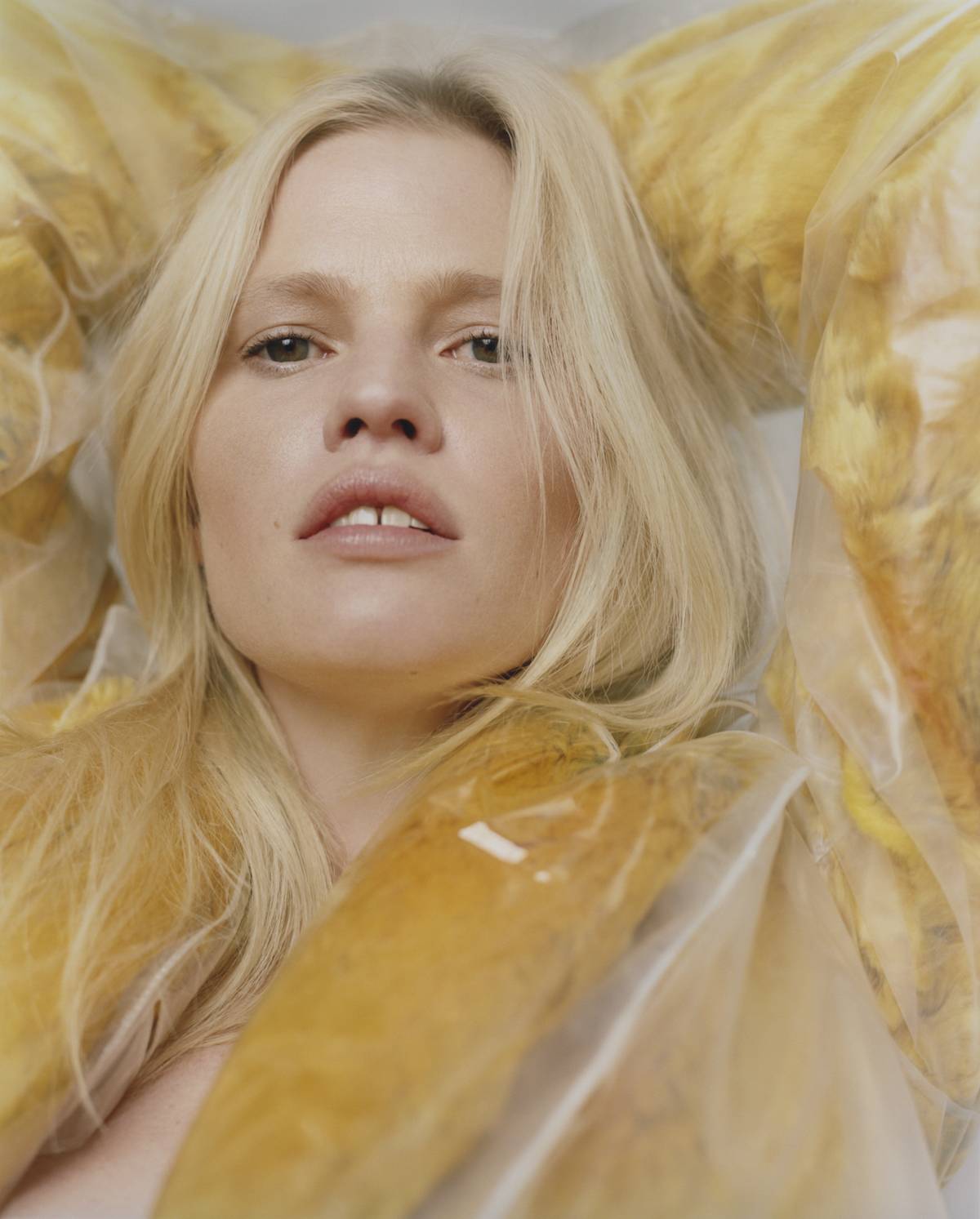 Lara Stone (Fot. Harley Weir / Art Partner)