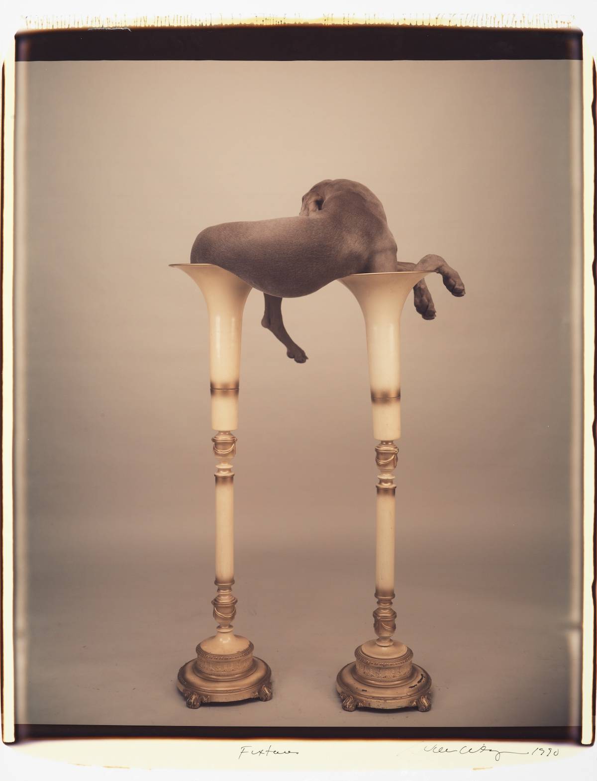 William Wegman Fixtures, 1990 color Polaroid 24 x 20 inches (61 x 51 cm) 35 x 26 1/2 inches (89 x 67 cm) frame, Sperone Westwater, New York