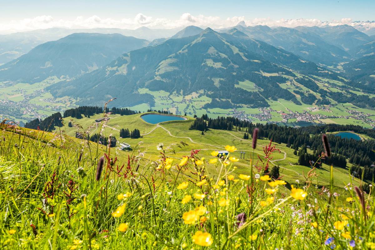 Fot. Kitzbüheler Alpen - Hohe Salve / Norbert Eisele-Hein