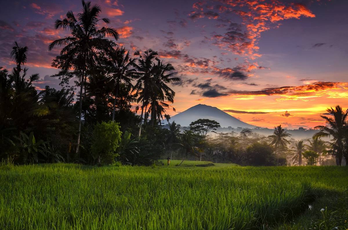 Wschód słońca, Ubud