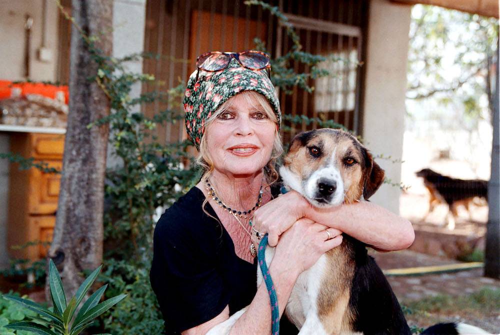 Brigitte Bardot (Fot. Getty Images)