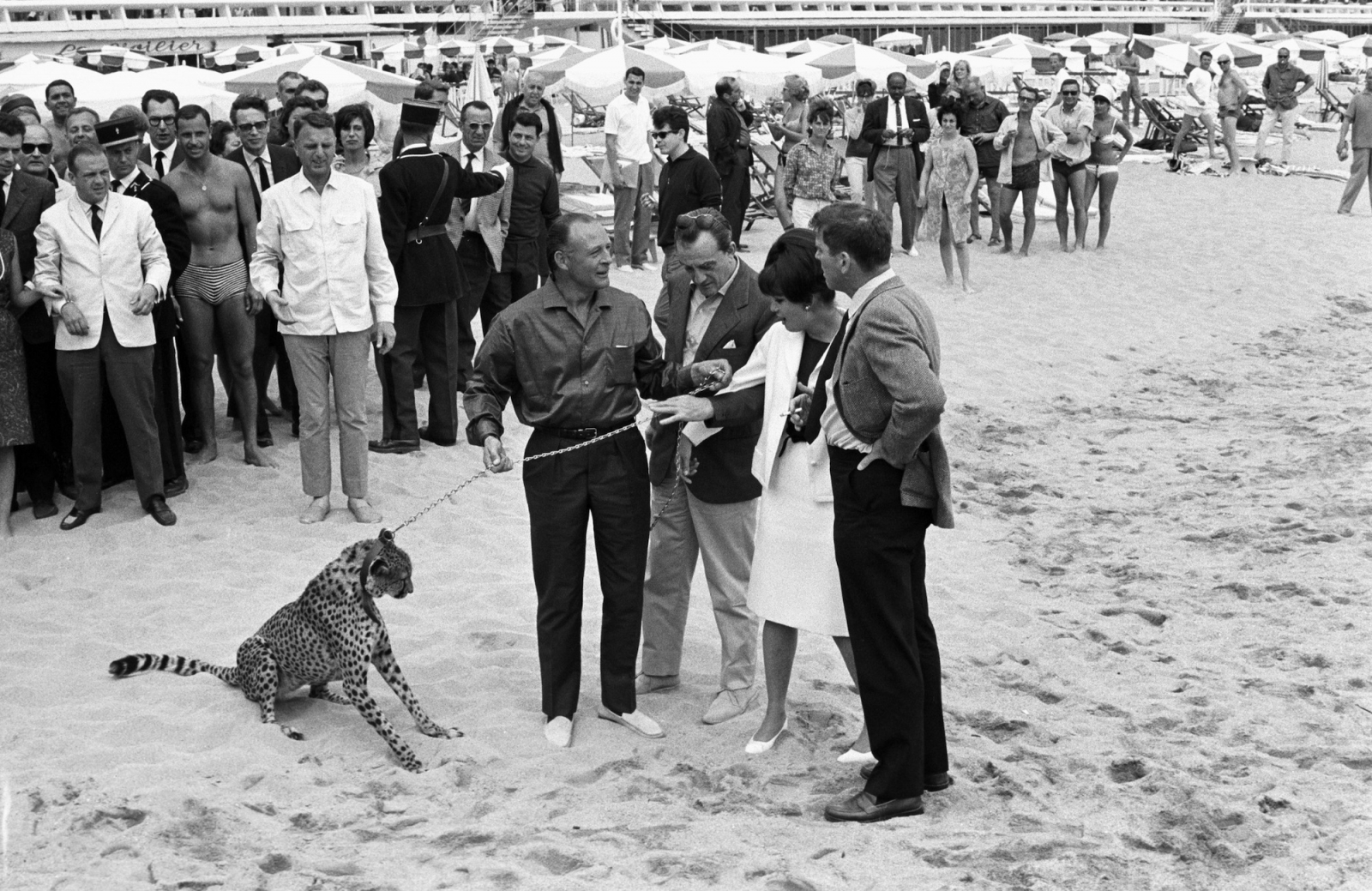 Luchino Visconti, Burt Lancaster, Claudia Cardinale w Cannes (Fot. Getty Images)