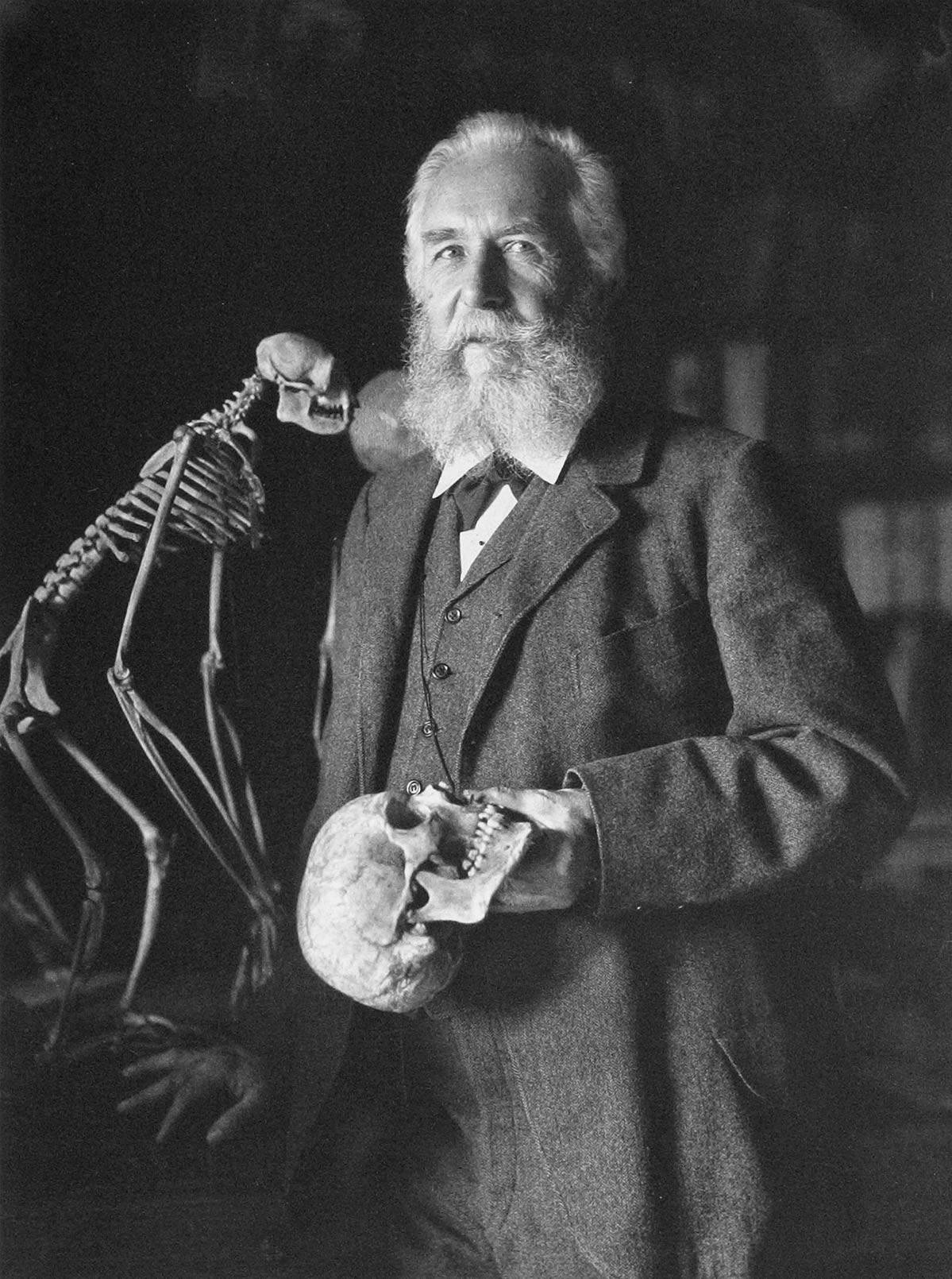 Ernst Haeckel 1904. (Photo by Imagno/Getty Images(Fot. Nicola Perscheid / Imagno/Getty Images)