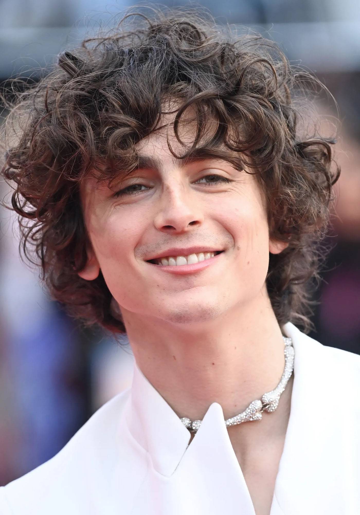 Timothée Chalamet w chokerze z kości na premierze Aż do kości w Londynie (Fot. Dave J Hogan / Getty Images)