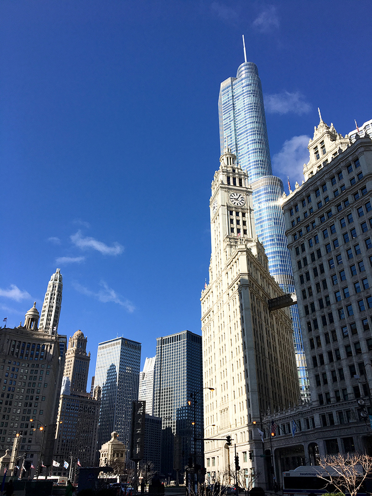 Wieżowce Chicago z górującym Trump Tower (Fot. Katarzyna Pietrewicz-Żero)