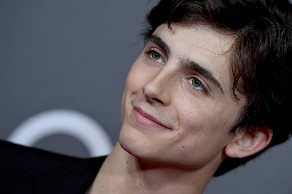 Timothée Chalamet (Fot. Getty Images)