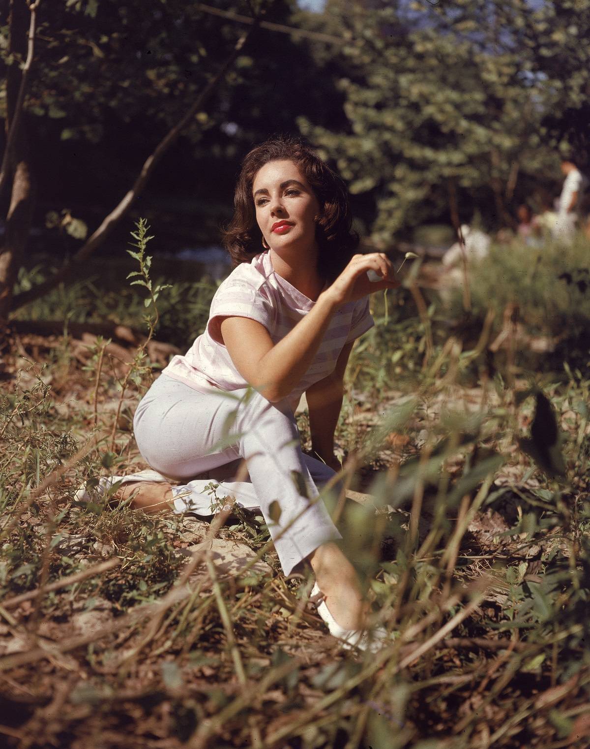 Elizabeth Taylor w latach 50.