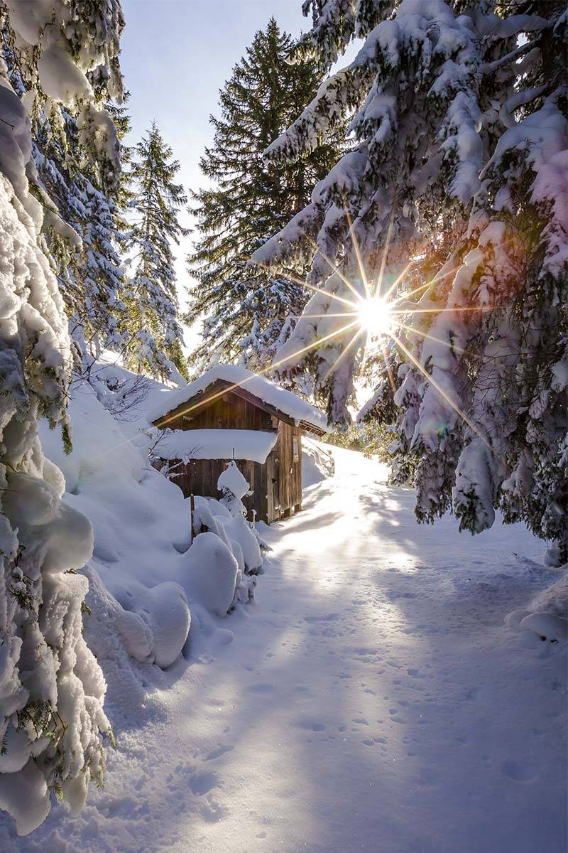 Filzmoos, SalzburgerLand / (Fot. Materiały prasowe)