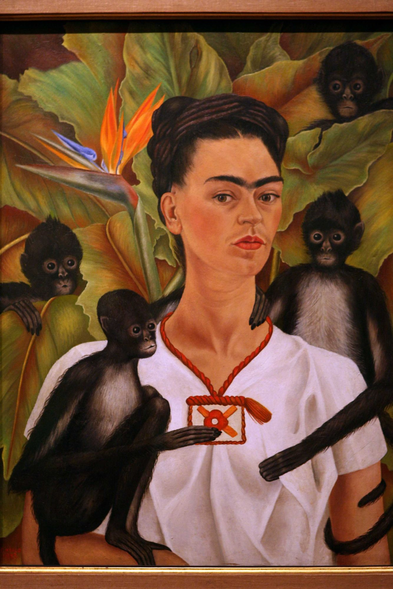 Autoportret z Małpami, Frida Kahlo / Fot. DESRUS BENEDICTE/SIPA, EAST NEWS