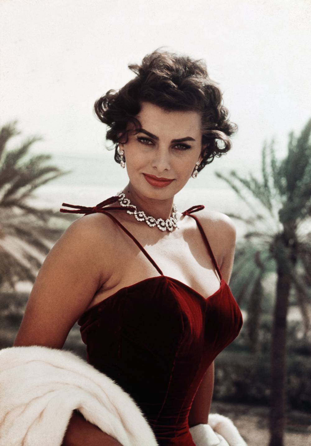 Sophia Loren (Fot. Getty Images)