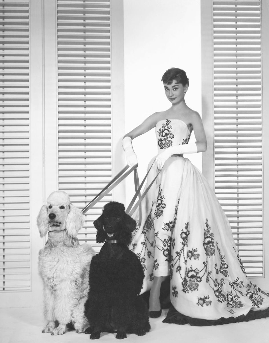 An Hubert de Givenchy gown worn by Audrey Hepburn in Sabrina (1954). The film won an Oscar for its costumes (Photo: Getty Images)