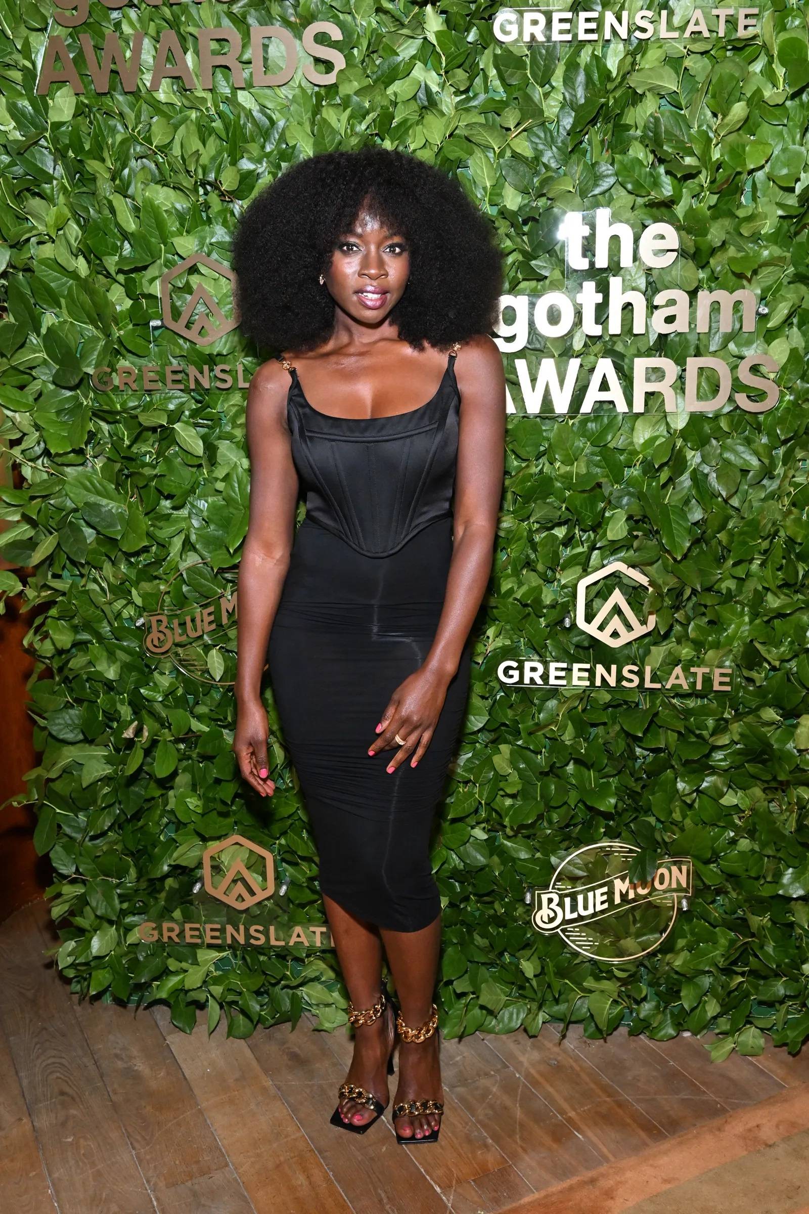 Danai Gurira w gorsecie Versace na gali Gotham Awards / Fot. Slaven Vlasic, Getty Images