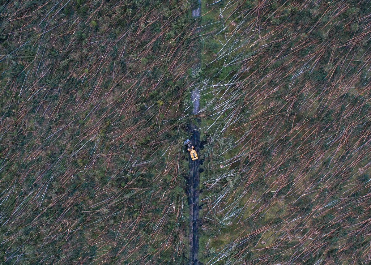 Dominik Werner, Testigo Documentary. Rytel. Harwester toruje drogę przez las po nawałnicy, która powaliła setki hektarów drzew. (Grand Press Photo)