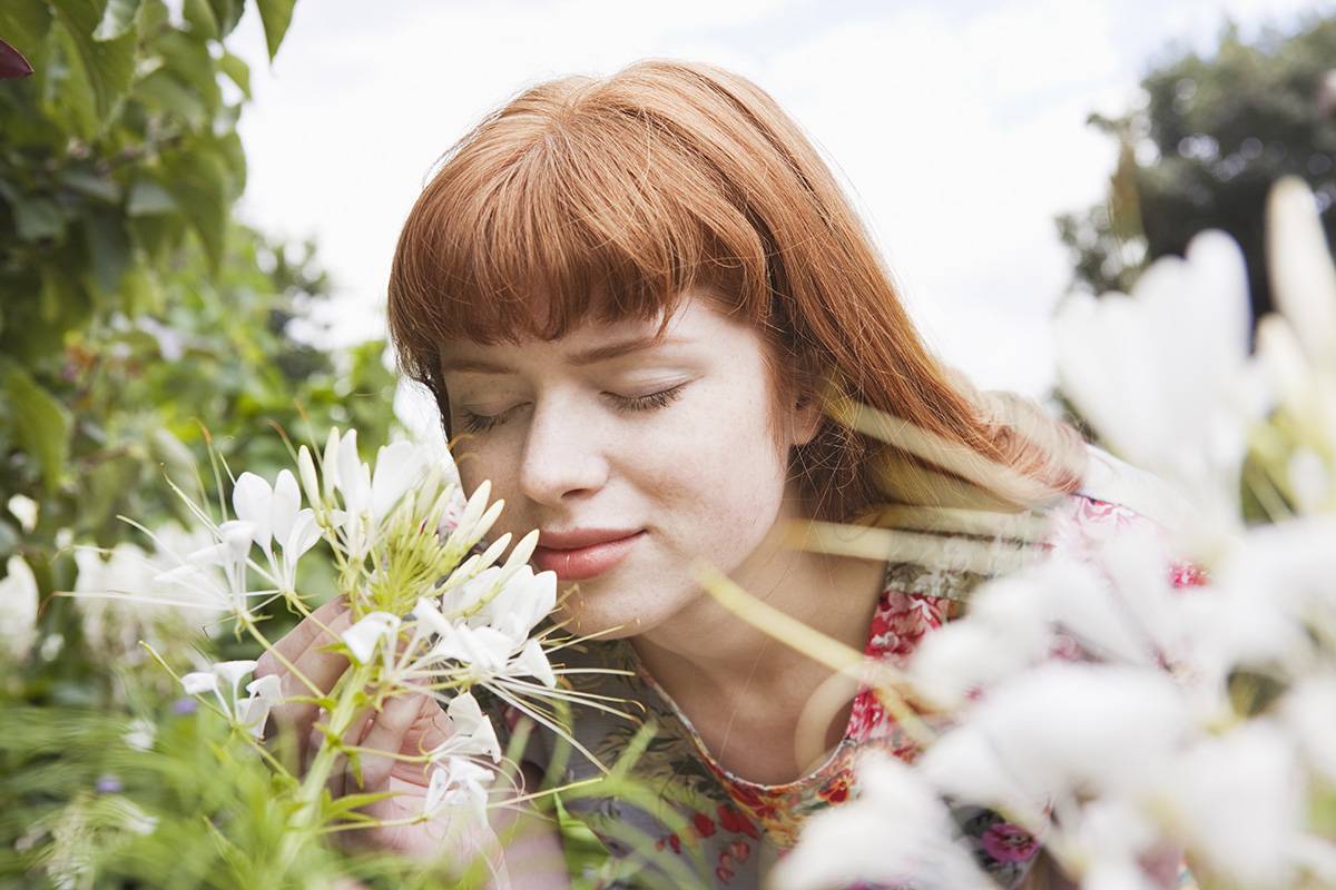 W jaki sposób pozyskuje się dziś zapachy do perfum? (Fot. Getty Images)