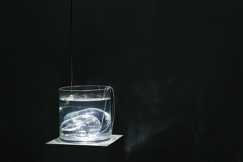 Tomokoa Sauvage, Buloklok, Fot. Naoki Takehisa