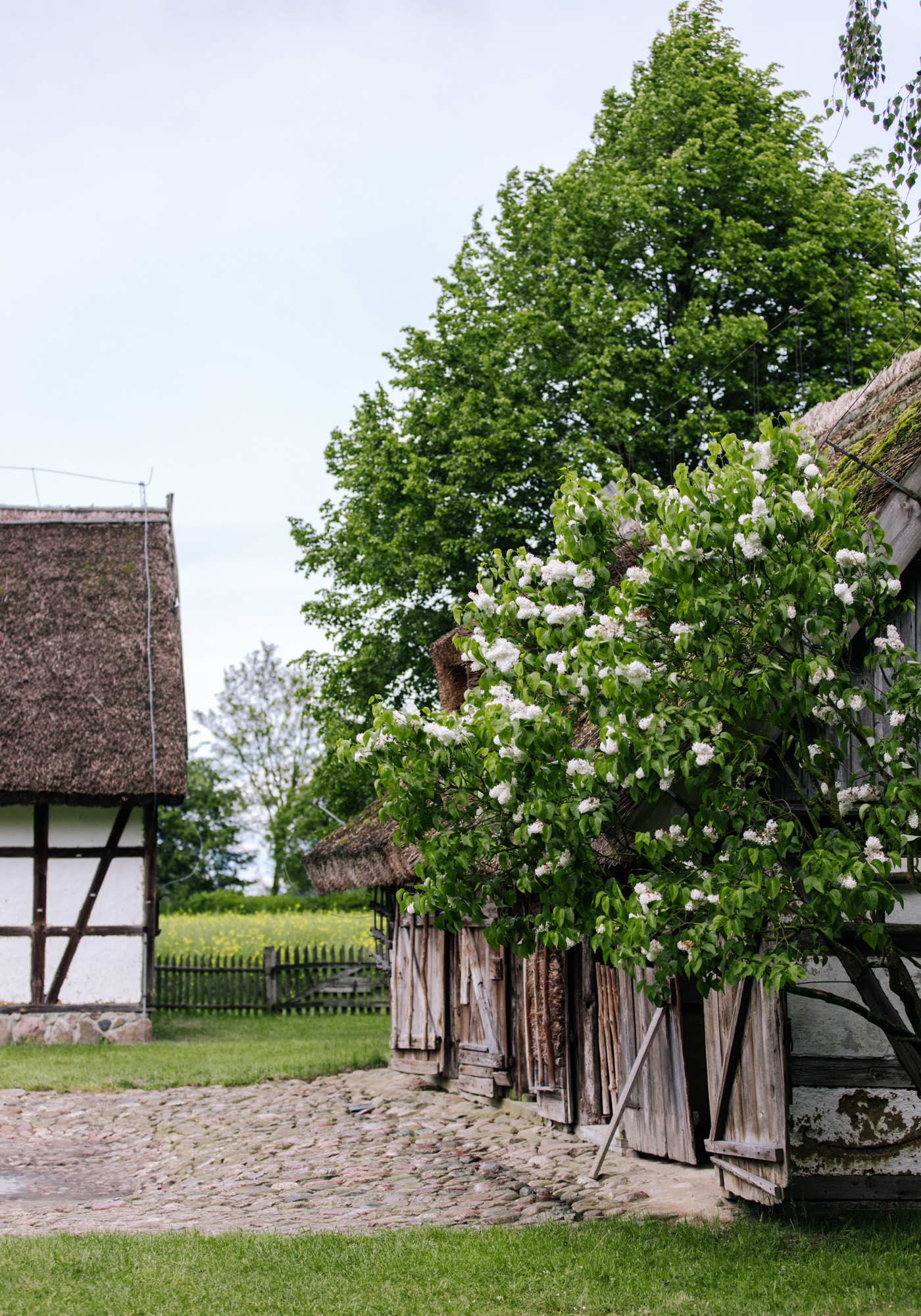 (Fot. Katarzyna Ciejka/Travelicious)