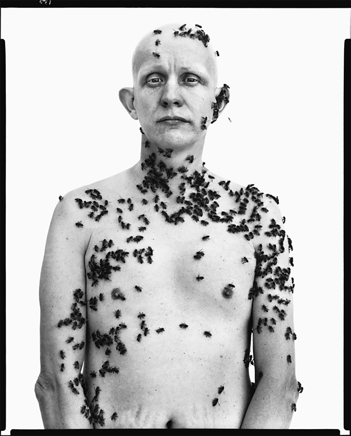 Ronald Fischer, pszczelarz, Davis, California, 9 maja 1987. Fot. Richard Avedon © The Richard Avedon Foundation