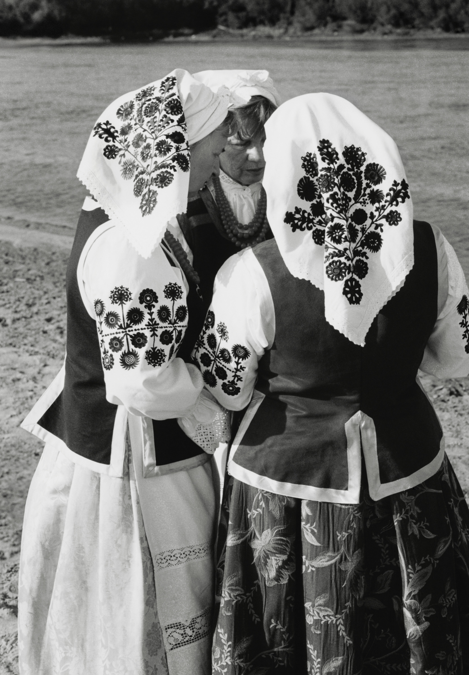 (Fot. Kulesza & Pik)