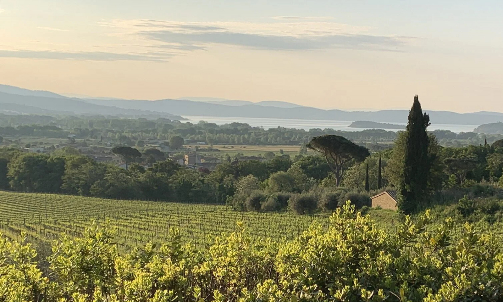 Agroturystyka Montemelino w Tuoro Sul Trasimeno. (Fot. materiały prasowe)