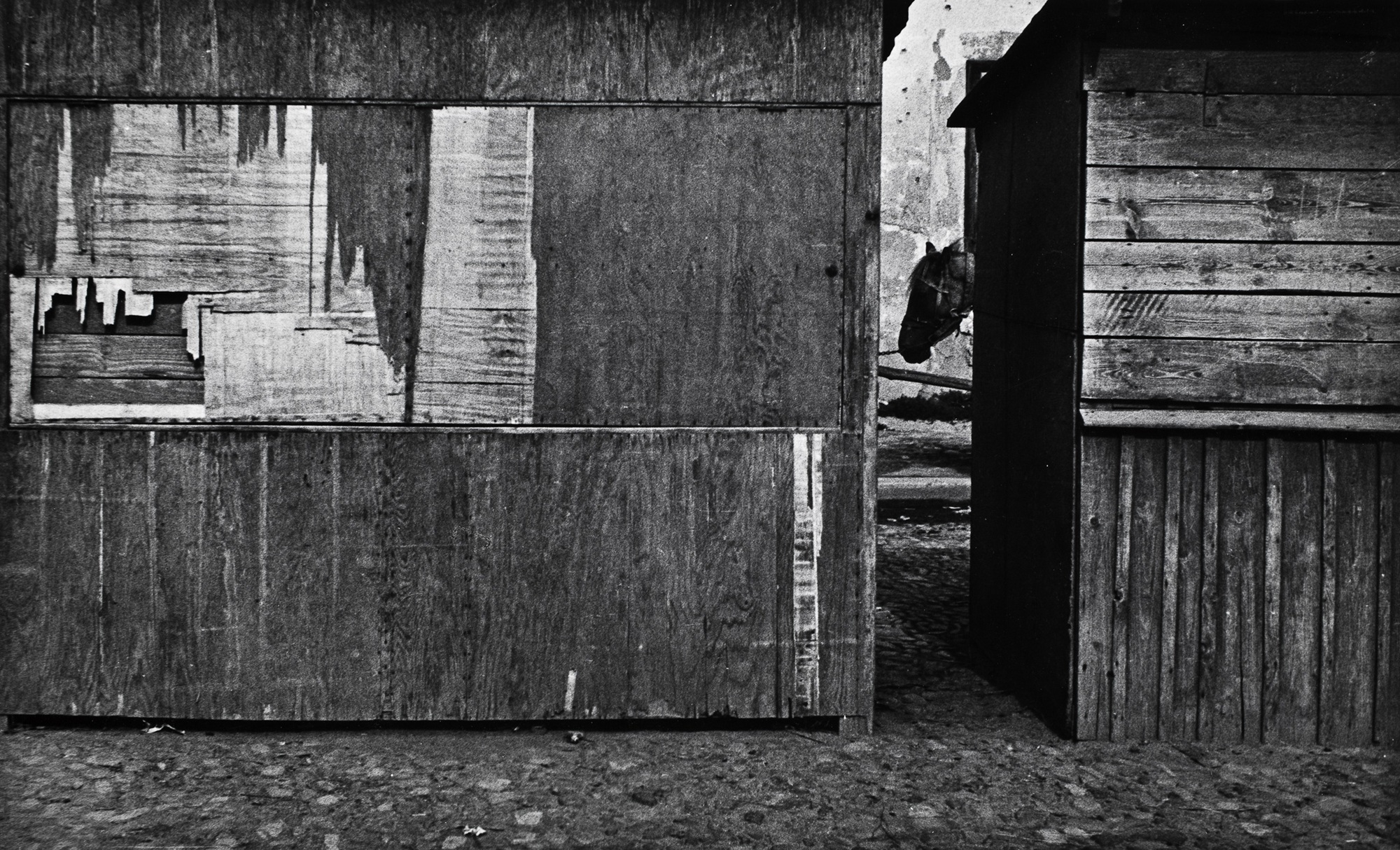Zdzisław Beksiński, Samotność, 1957, Muzeum Narodowe we Wrocławiu.