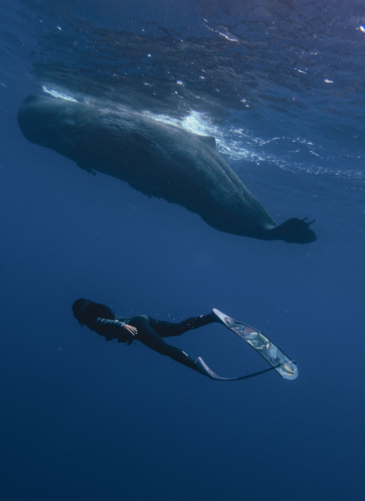 Freediving, czyli nurkowanie na wstrzymanym oddechu. (Fot. Chinh Le Duc / Unsplash.com)
