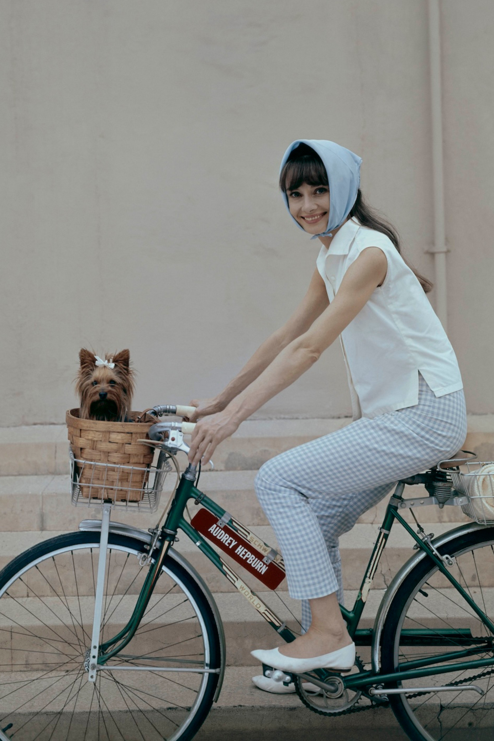 Audrey Hepburn jedzie na rowerze, a w koszyku obok niej siedzi pies rasy yorkshire terrier.