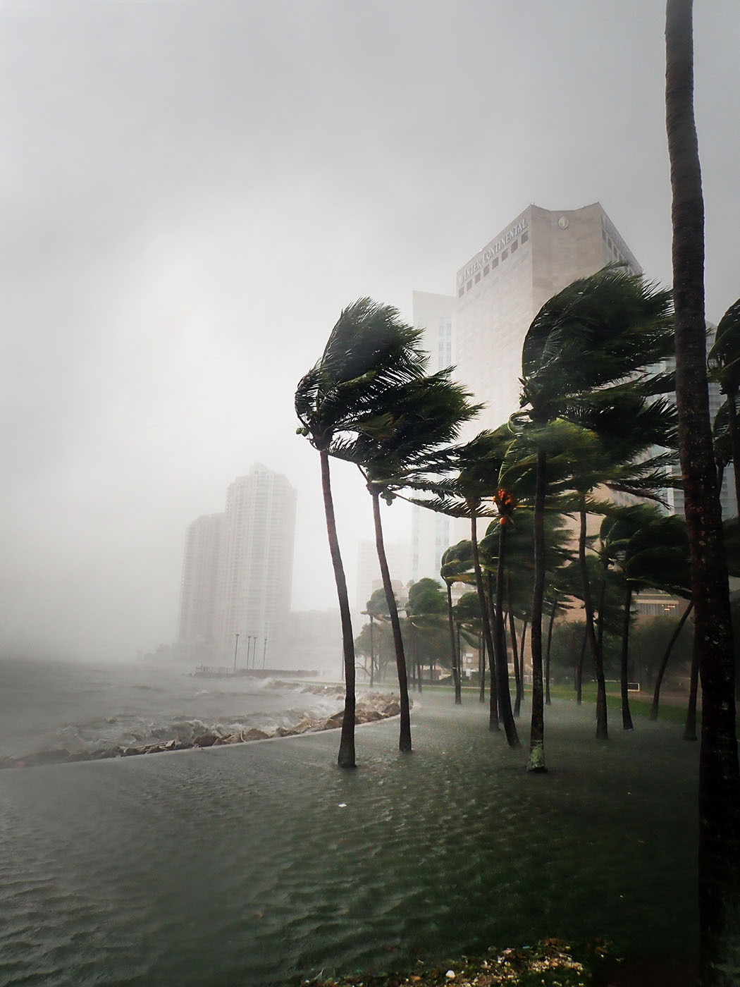 (Fot. Getty Images)