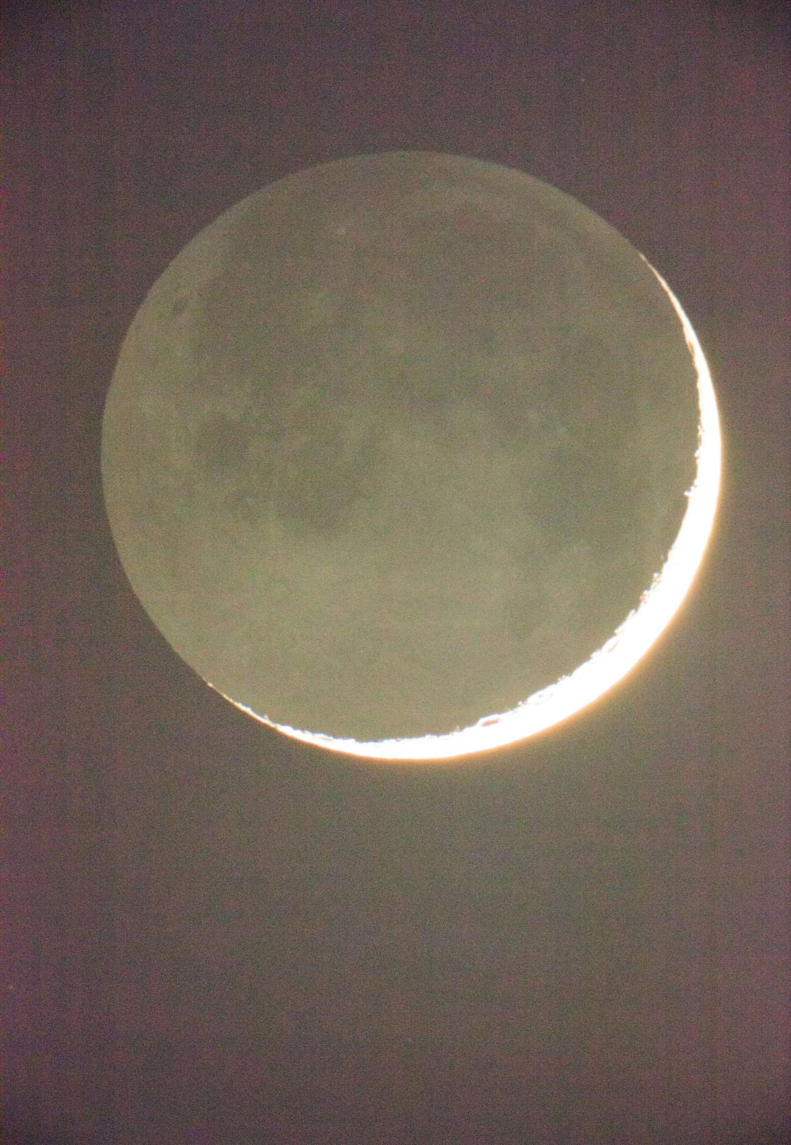 Moon in Earthlight, 2015 / Fot. własność Galerie Buchholz, Galerie Chantal Crousel, Paris, Maureen Paley, London, David Zwirner, New York